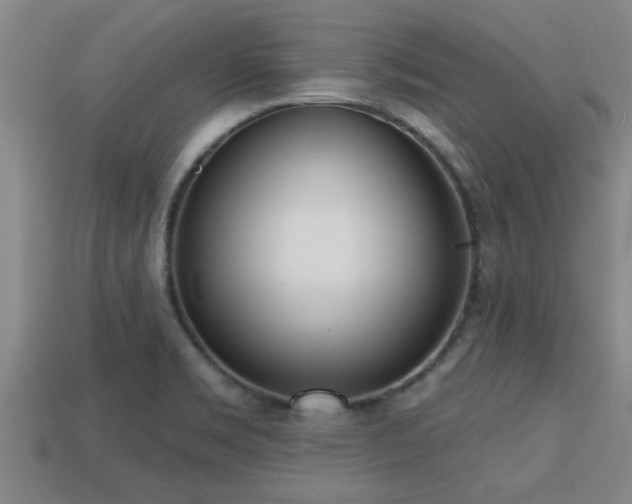 X0000113201469200909171504