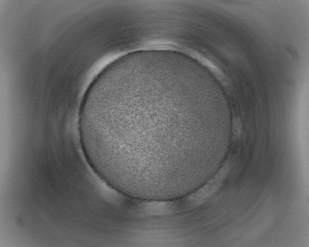 X0000113201470200909171504