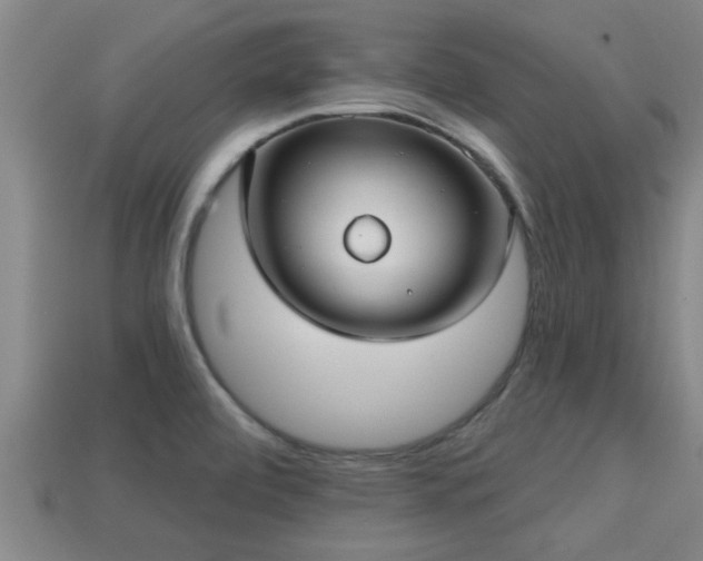 X0000113201472200909171504