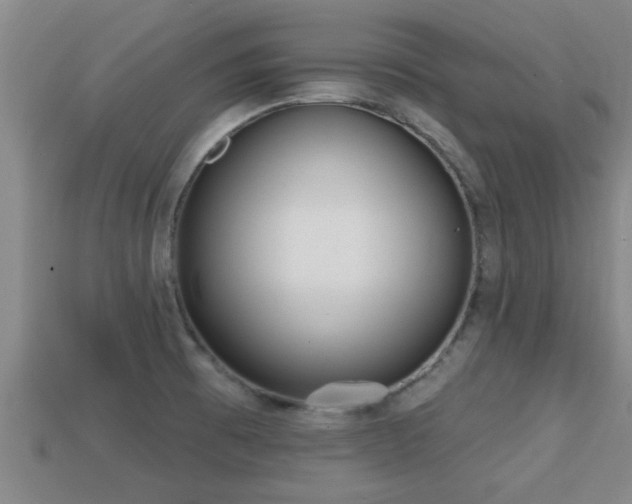 X0000113201473200909171504