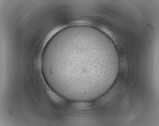 X0000113201474200909171504