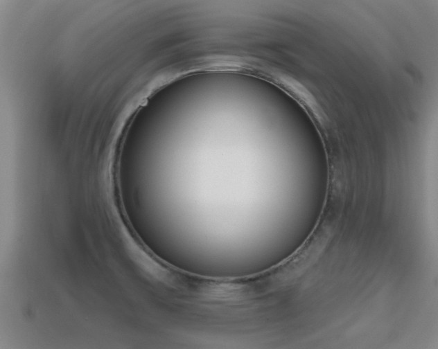 X0000113201475200909171504