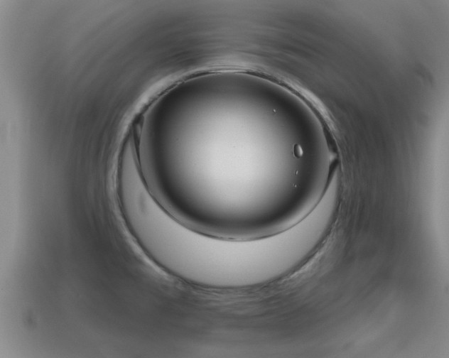 X0000113201477200909171503