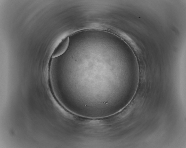 X0000113201479200909171503