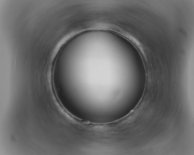 X0000113201480200909171503