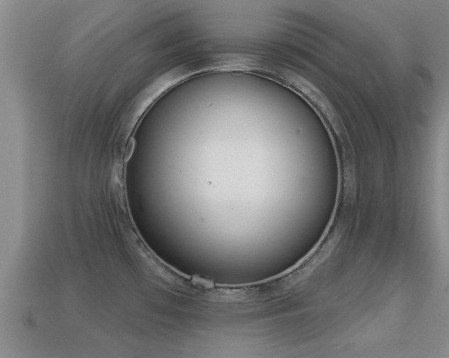 X0000113201481200909171503