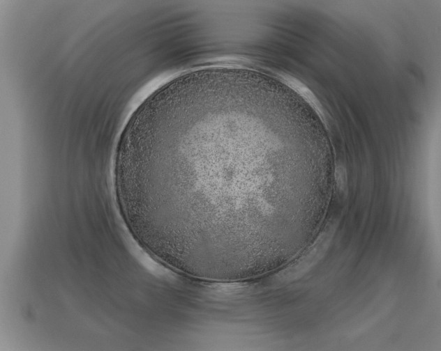 X0000113201482200909171503