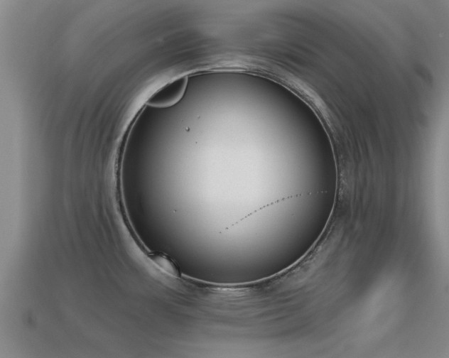 X0000113201483200909171503