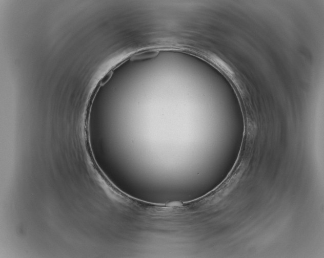 X0000113201485200909171503