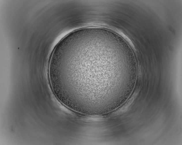 X0000113201486200909171503