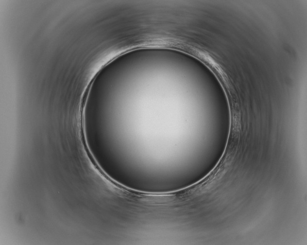 X0000113201487200909171503