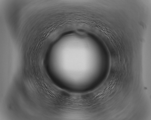 X0000113201489200909171503