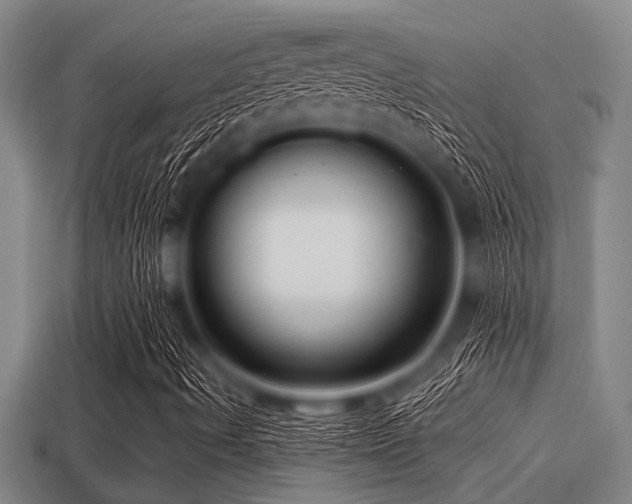 X0000113201490200909171503