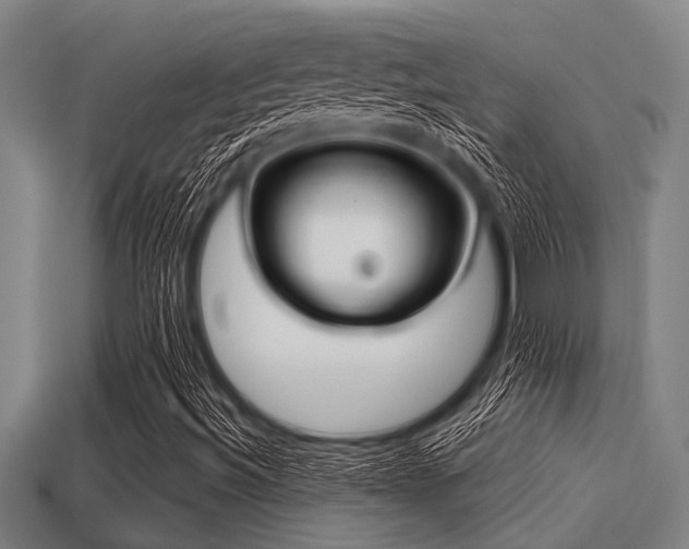 X0000113201492200909171503