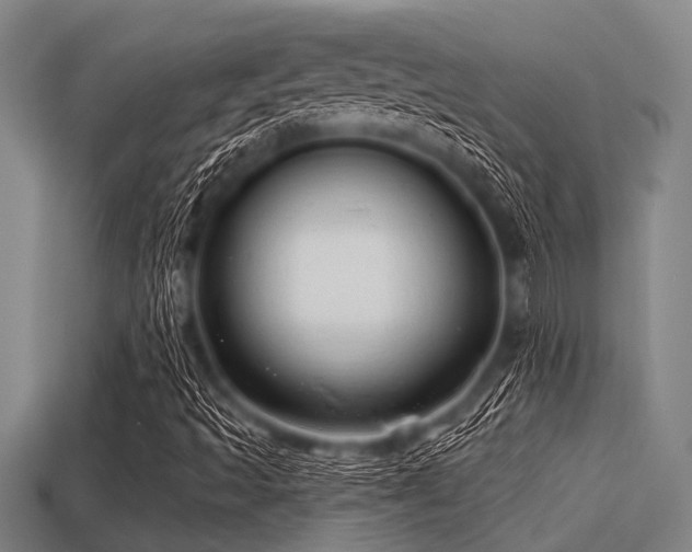 X0000113201493200909171503