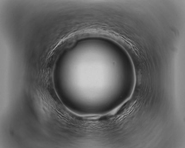 X0000113201494200909171503