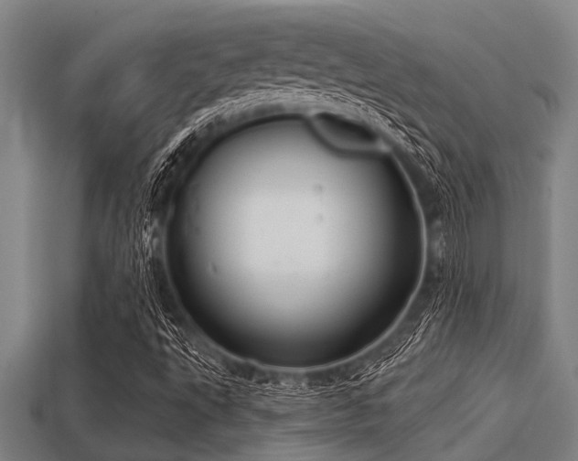 X0000113201495200909171503