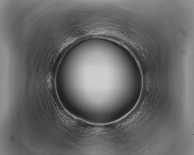 X0000113201497200909171503