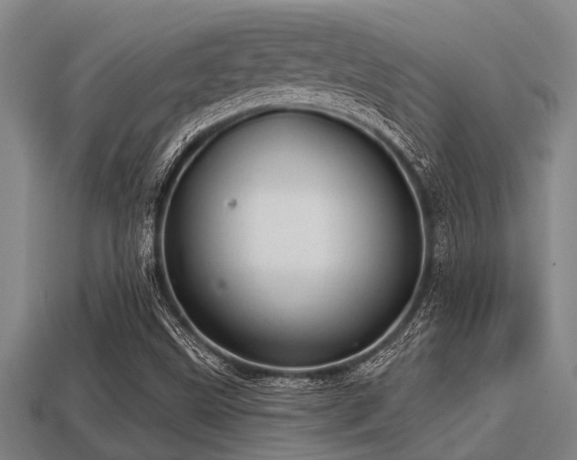 X0000113201499200909171503