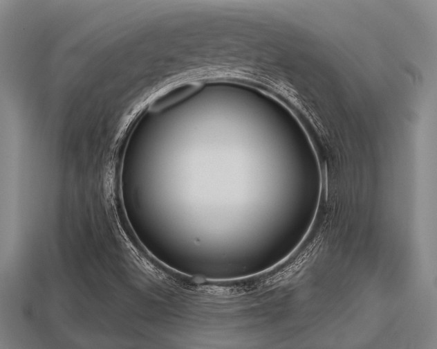 X0000113201500200909171503