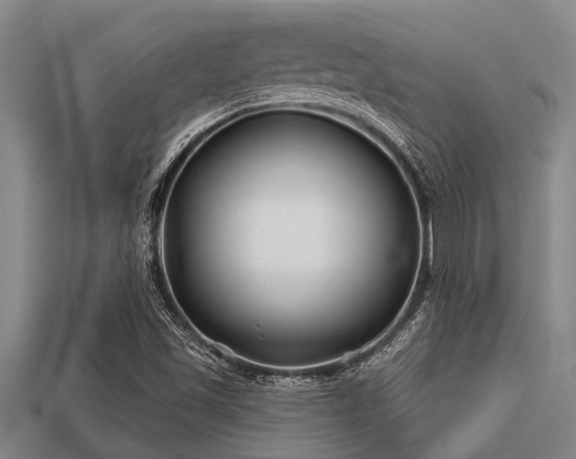 X0000113201501200909171503