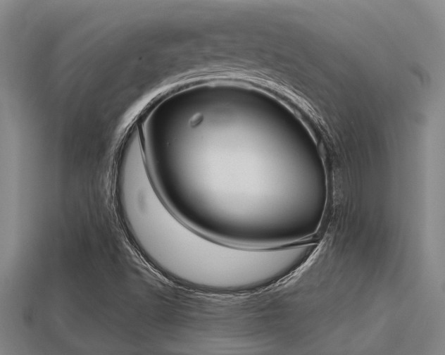 X0000113201502200909171503