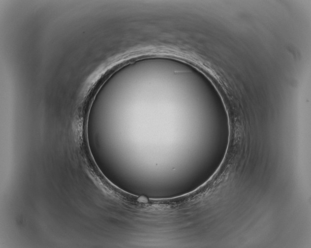 X0000113201503200909171503