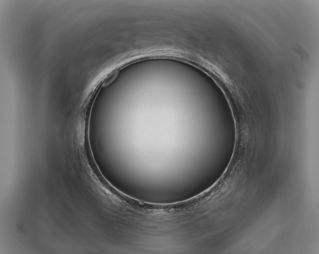 X0000113201504200909171503