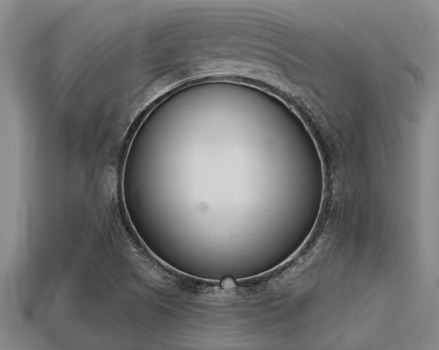 X0000113201505200909171503