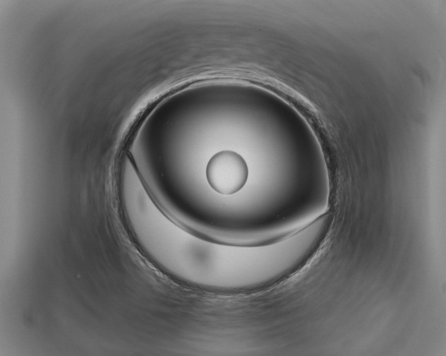 X0000113201506200909171503