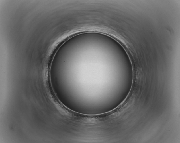 X0000113201507200909171503