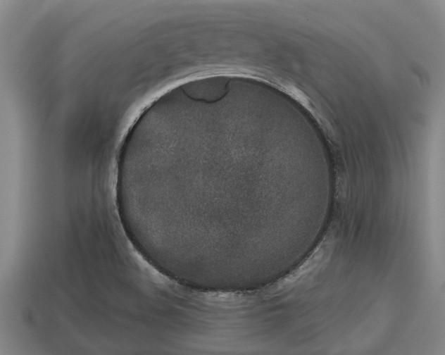 X0000113201508200909171503