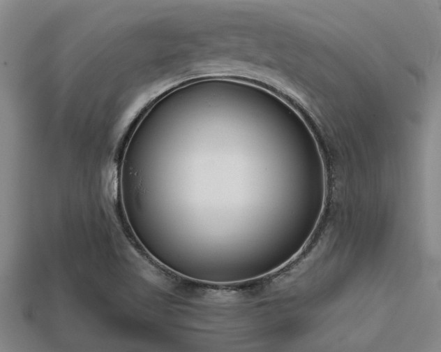 X0000113201509200909171503