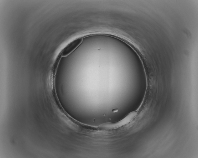 X0000113201510200909171503