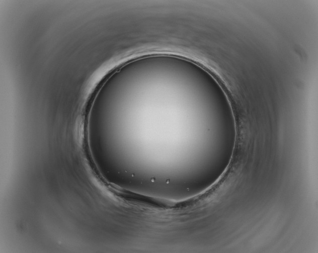 X0000113201511200909171503