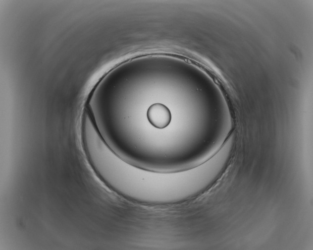 X0000113201512200909171503