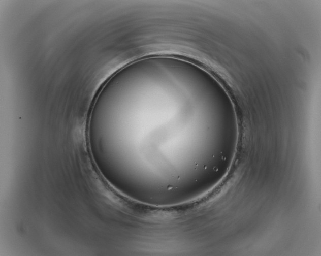 X0000113201513200909171503