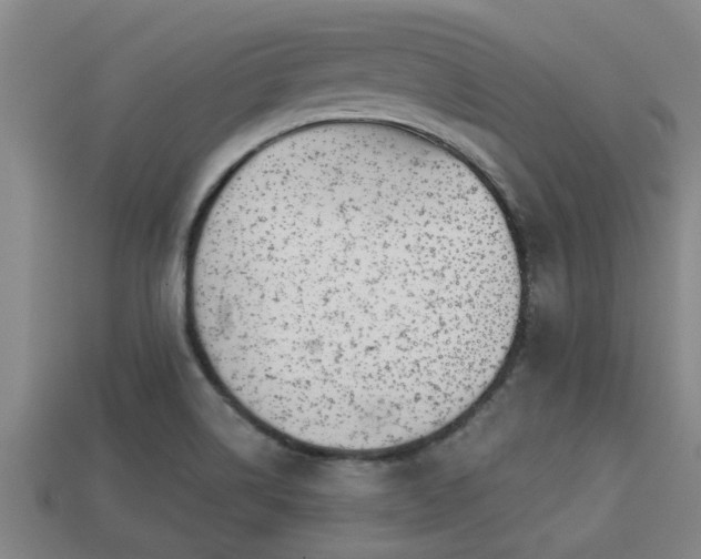 X0000113201514200909171503