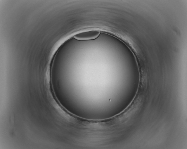 X0000113201516200909171503