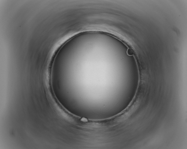 X0000113201517200909171503