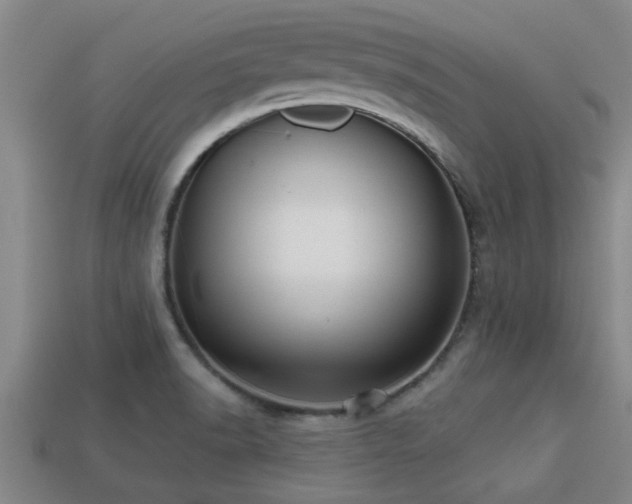 X0000113201518200909171503