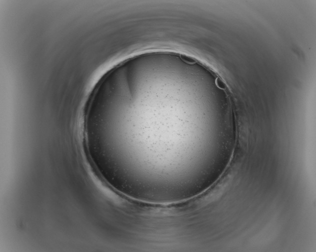 X0000113201519200909171503