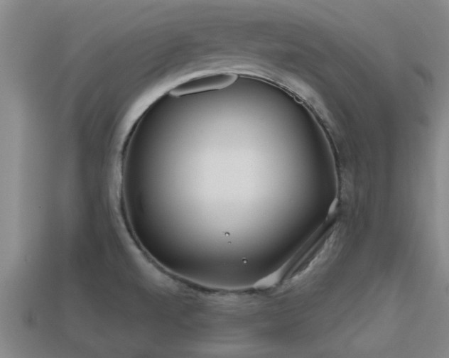 X0000113201520200909171503