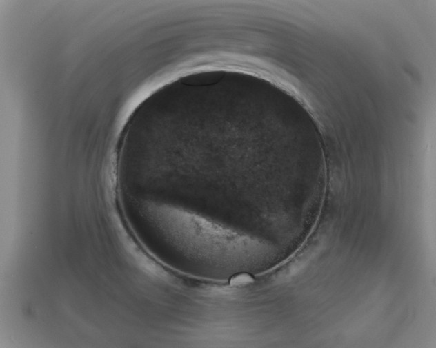 X0000113201522200909171503