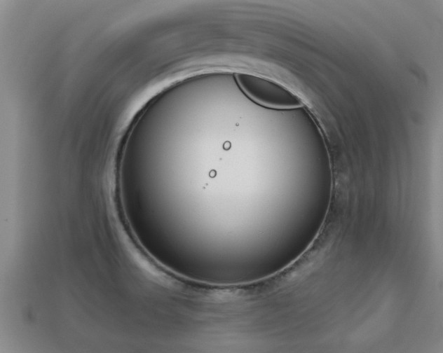 X0000113201523200909171503