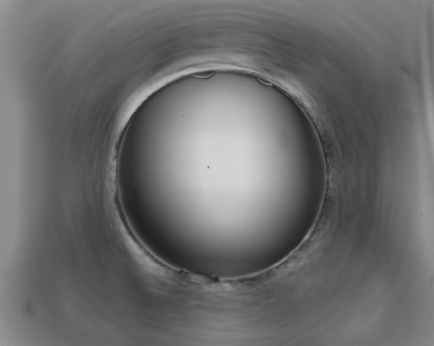 X0000113201524200909171503