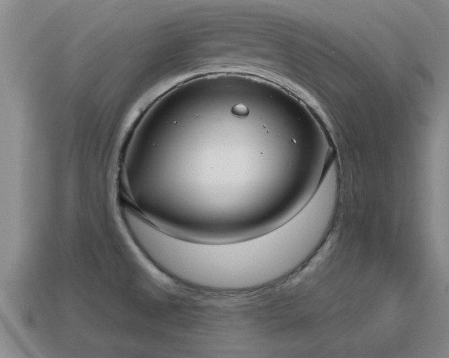 X0000113201525200909171503