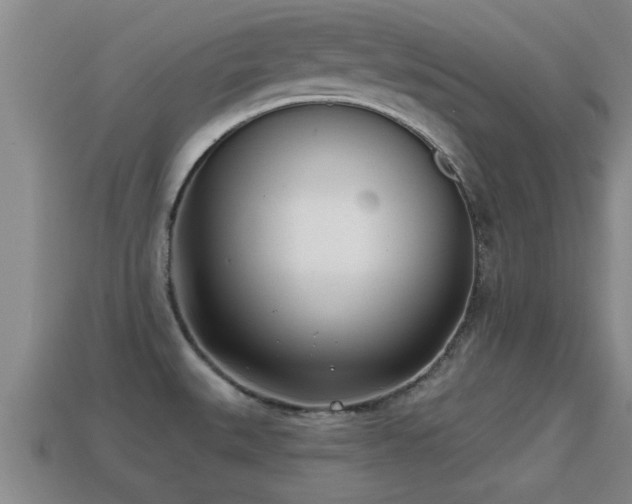 X0000113201527200909171503