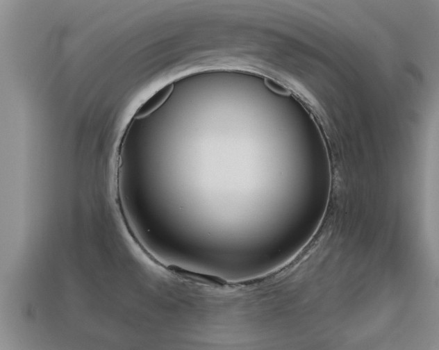 X0000113201528200909171503