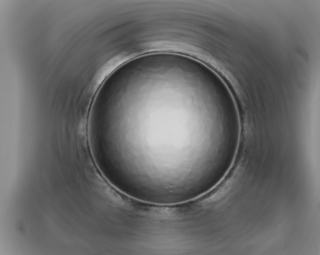 X0000113201529200909171503